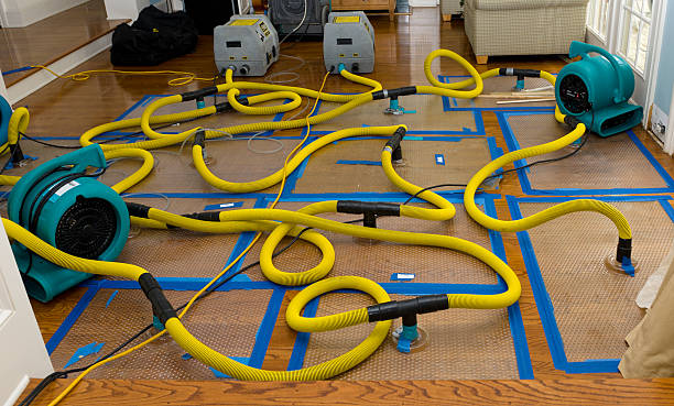 Professional Crawl Space Water Removal technician working in Montebello, NY